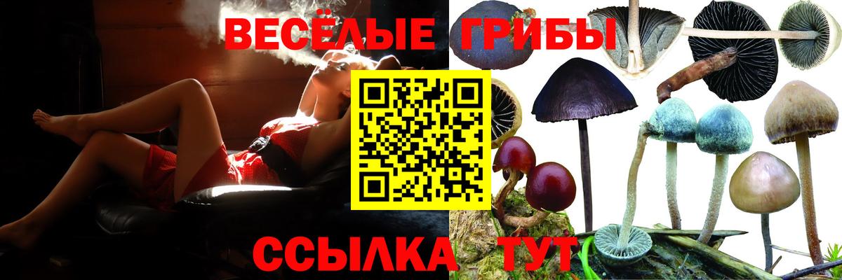 Галлюциногенные грибы прущие грибы Ахтубинск