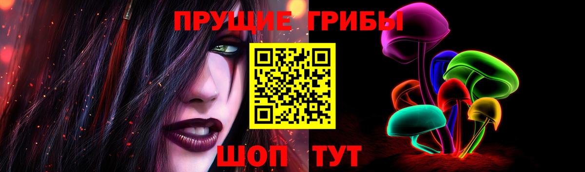 Галлюциногенные грибы Psilocybe  Вход с VPN  как найти   Псилоцибиновые грибы мицелий  Ахтубинск 